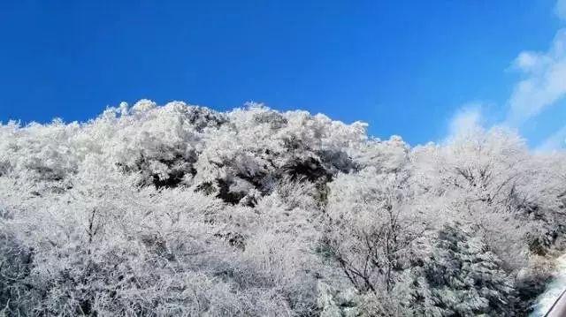 模拟山羊