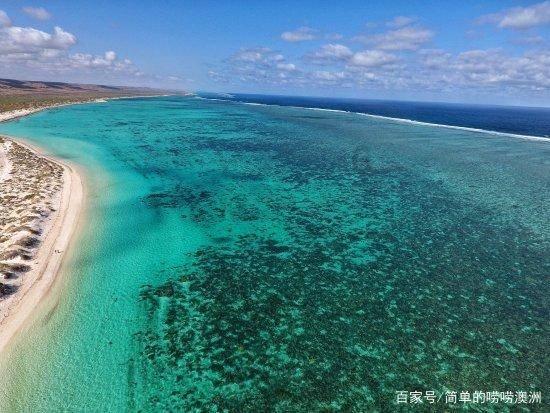 寒冬送温暖！海阳市民姜常论连续十一年为环卫工人送上爱心面